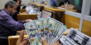 تحديث مباشر: سعر الدولار في مصر وفقًا للبنوك الحكومية والخاصة