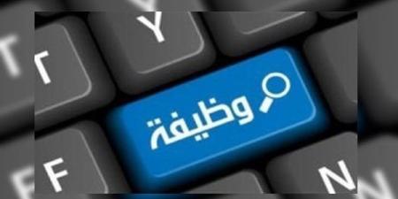 عاجل.. براتب 3900 درهم.. "العمل" تعلن عن وظائف للمصريين للعمل فى الإمارات 2025