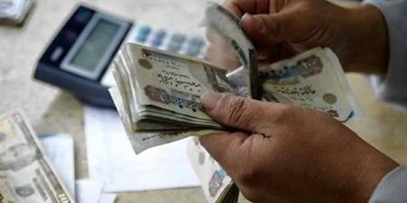 زيادة المرتبات 1000 جنيه والمعاشات 15%.. ماذا نعرف عن الحزمة الاجتماعية؟