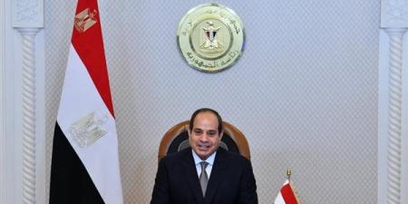 السيسي: مصر سعت منذ اليوم الأول للحرب لوقف إطلاق النار بغزة