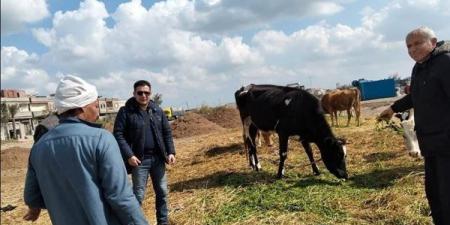 الزراعة؛ معهد الإنتاج الحيواني يدعم المربين بالإرشادات والبرامج التوعوية والزيارات الميدانية