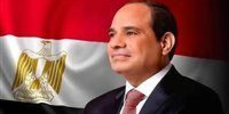 الرئيس السيسي: مصر ترحب بالتعاون مع النرويج في مجال إنتاج الهيدروجين الأخضر - موقع رؤية