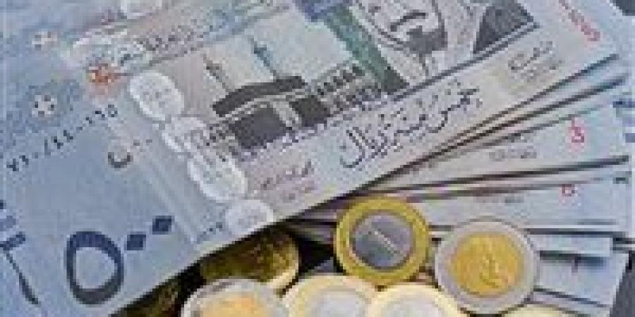 سعر الريال السعودي مقابل الجنيه المصري اليوم الأربعاء 15 يناير 2025