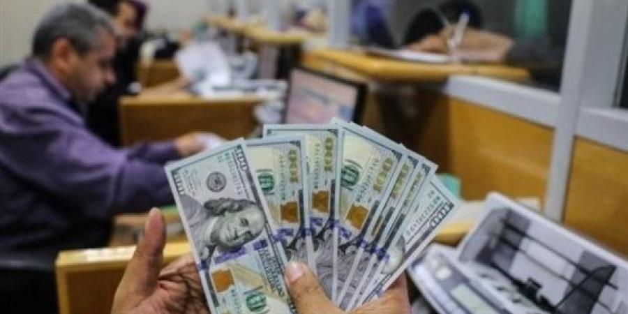 تعرف على سعر الدولار الآن في البنك المركزي