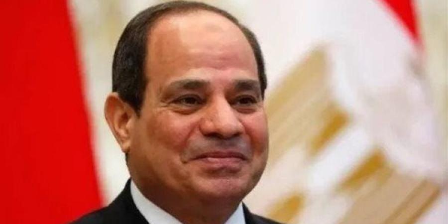 الرئيس السيسي يبحث مع نفانتيا الإسبانية توطين صناعة السفن في مصر