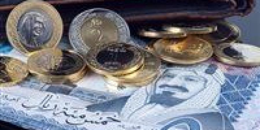 سعر الريال السعودي مقابل الجنيه المصري اليوم الأربعاء 19 فبراير 2025