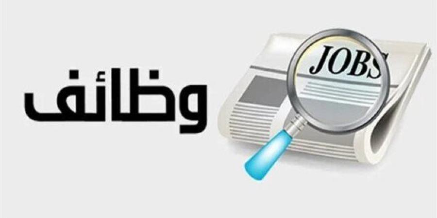 عاجل.. 3862 فُرصة عمل في 59 شركة تنتظر شباب 10 محافظات| تفاصيل