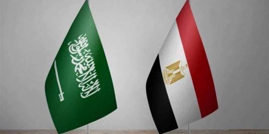 عبدالله الشهري: التنسيق السعودي المصري أساس نجاح القضية الفلسطينية