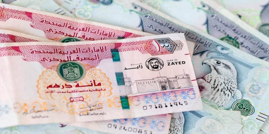 أسعار العملات الأجنبية في الإمارات اليوم الاثنين 24 / 2 /2025