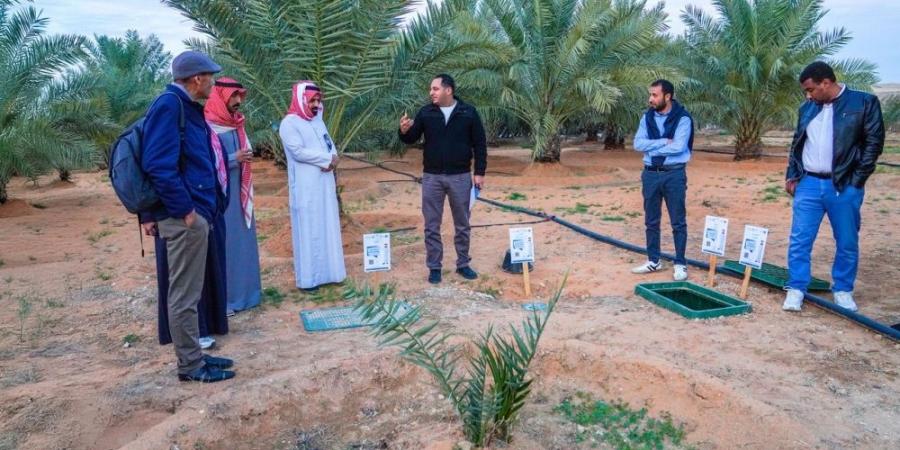 3 حقول إرشادية بالقصيم لتعزيز إنتاجية النخيل بتقنيات الري الذكي