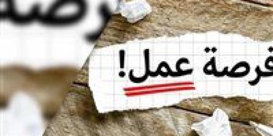 حتى الأحد.. فتح باب التقديم على 14 فرصة عمل بلبنان