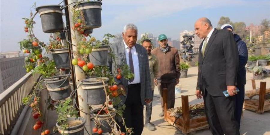 جامعة أسيوط تطلق مبادرة لزراعة الأسطح كنموذج للاستدامة وتحقيق الأمن الغذائي