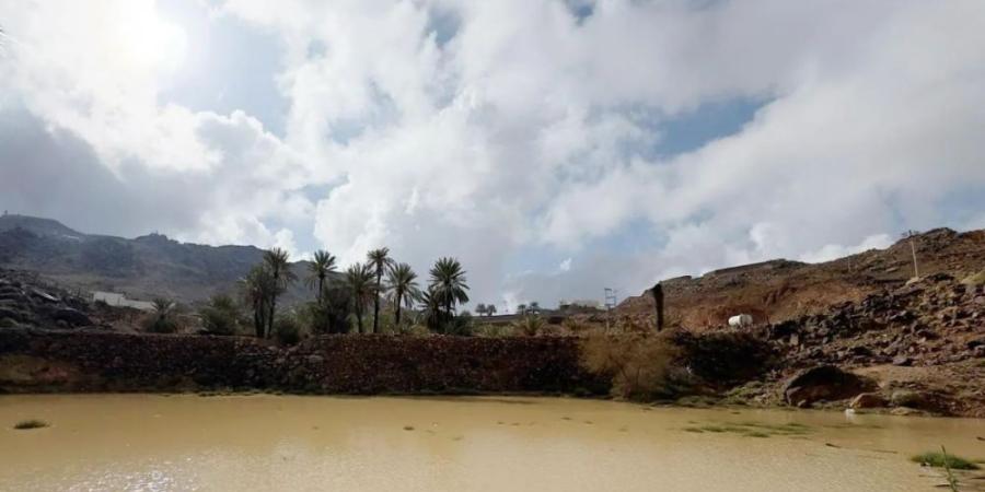 السماء ملبدة بالغيوم.. هطول أمطار غزيرة على المدينة المنورة