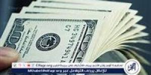 استقرار سعر الدولار مقابل الجنيه المصري اليوم الاثنين 9 ديسمبر 2024