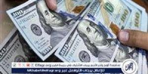 استقرار سعر الدولار مقابل الجنيه المصري اليوم 12 ديسمبر 2024