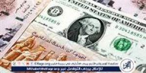 استقرار سعر الدولار أمام الجنيه المصري وآخر تحديثات أسعار الصرف