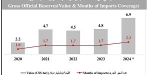 «ضمان»: 6.9 مليار دولار احتياطي البحرين من العملات الأجنبية في 2024