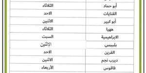 تخصيص يوم إسبوعي بكل مركز ومدينة وحي لعقد لقاءات مع المواطنين بالشرقية