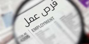 عاجل.. آخر موعد للتقديم على وظائف التضامن الاجتماعى.. الشروط والمستندات المطلوبة