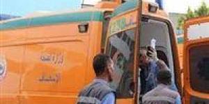 مدمن يقتل والده ويطعن والدته لرفضهما إعطاءه مالا بالفيوم