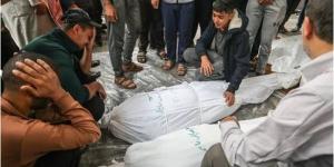 حسين هريدي: ما يحدث في غزة مأساة إنسانية غير مسبوقة في تاريخ البشرية