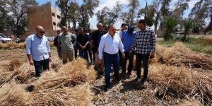محافظ أسيوط يشارك العمال احتفالات عيدهم ويتفقد حصاد 40 فدان قمح