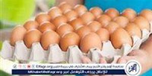 أسعار طبق البيض اليوم الاثنين 19-5-2025 في قنا