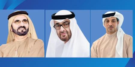 رئيس الدولة ونائباه يعزون رئيس أذربيجان بضحايا تحطم الطائرة