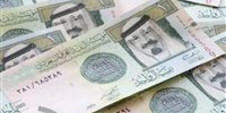 سعر الريال السعودي مقابل الجنيه المصري اليوم الأربعاء 25 ديسمبر 2024