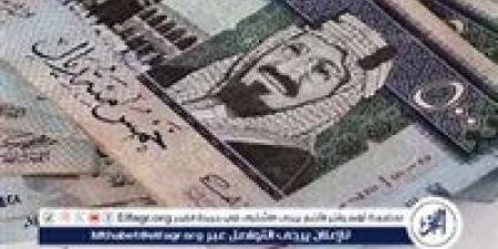 سعر الريال السعودي اليوم الأحد 29 ديسمبر 2024: استقرار بعد الانخفاض الأخير