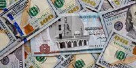 سعر الدولار اليوم في مصر الأربعاء 1 يناير 2025