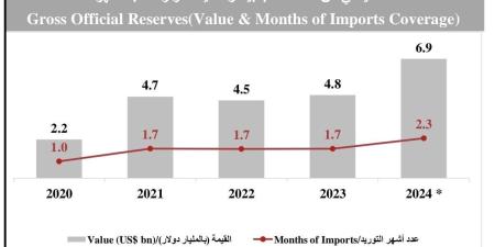 «ضمان»: 6.9 مليار دولار احتياطي البحرين من العملات الأجنبية في 2024