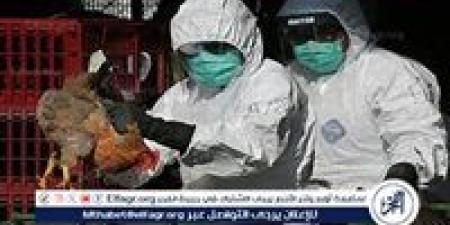 أول وفاة بشرية بسبب إنفلونزا الطيور H5N1 في الولايات المتحدة: التفاصيل والتحذيرات