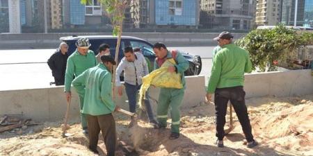 محافظ القاهرة: بدء أعمال المرحلة الأولى لتشجير الطريق الدائري