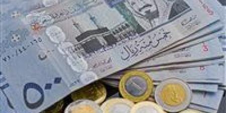 سعر الريال السعودي مقابل الجنيه المصري اليوم الأربعاء 15 يناير 2025