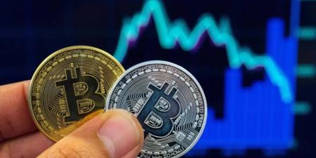 15 ولاية أمريكية تخطط لإنشاء احتياطي بيتكوين BTC الاستراتيجي