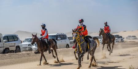 مهرجان سلطان بن زايد للقدرة يستأنف فعالياته