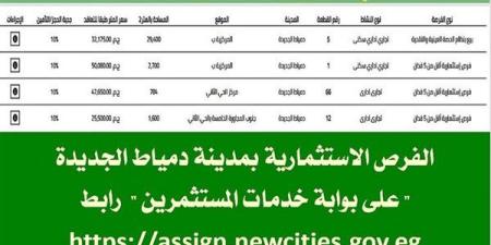 ننشر أهم الفرص الاستثمارية في مدينة دمياط الجديدة