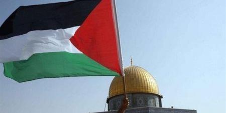 شيماء الكومي: القضية الفلسطينية تواجه أخطر تحدياتها