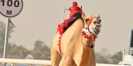 سلطان بن حمدان يشيد بإنجاز هجن الرئاسة في الجنادرية