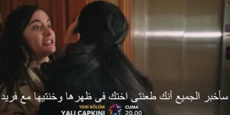 مسلسل طائر الرفراف الحلقة 93.. أسرار تُكشف ومصير مجهول