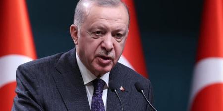 أردوغان: لا جدوى من مناقشة خطة ترامب «العقيمة» بشأن غزة لأنها لن تتحقق