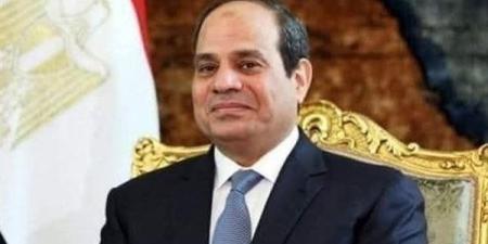 الرئيس السيسي والعاهل الأردني يؤكدان وحدة موقفي مصر والأردن وضرورة تنفيذ وقف النار في غزة