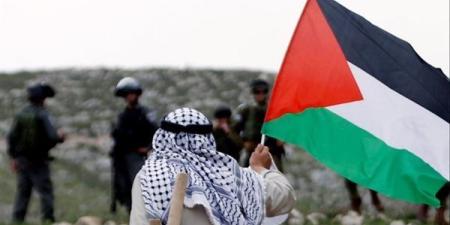 برلماني فرنسي: نطالب بموقف أكثر حزما ووضوحا لدعم الشعب الفلسطيني سياسيا ومعنويا وماديا