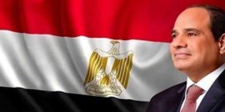 الرئيس السيسي يصل مصر بعد نهاية زيارته لإسبانيا