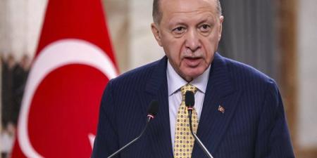 أردوغان: تركيا ستواصل العمل بكل قوتها لإرساء سلام عادل بأوكرانيا