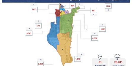 «البلديات»: زراعة 28 ألف شجرة بـ 81 موقعاً بـ«الجنوبية»