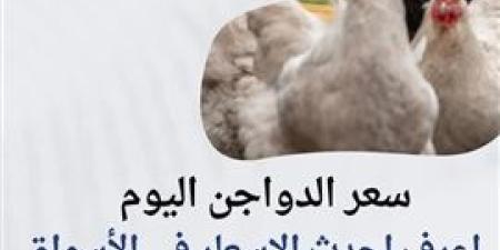 تراجع الطلب وراء انخفاض اسعار الدواجن بأسواق جنوب سيناء