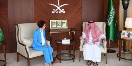 سفير المملكة لدى مصر يستقبل المديرة الإقليمية لبرنامج الأغذية العالمي
