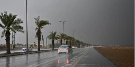 إنذار أحمر.. أمطار غزيرة ورياح شديدة على جازان والباحة